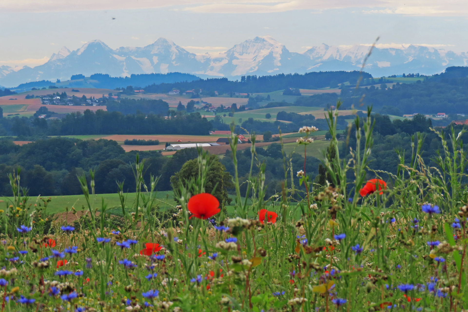 Prachts-Aussicht