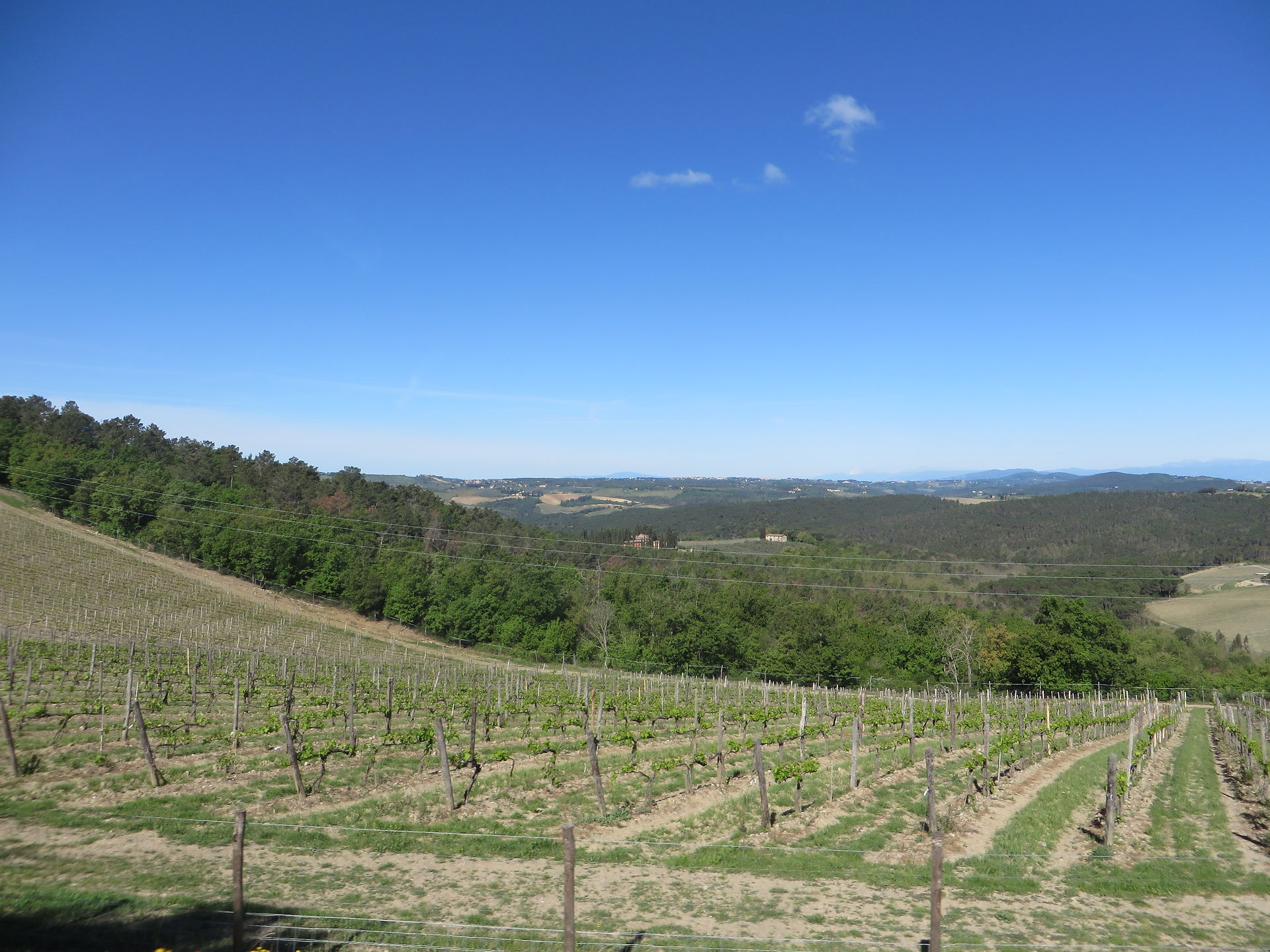 Toscana ade