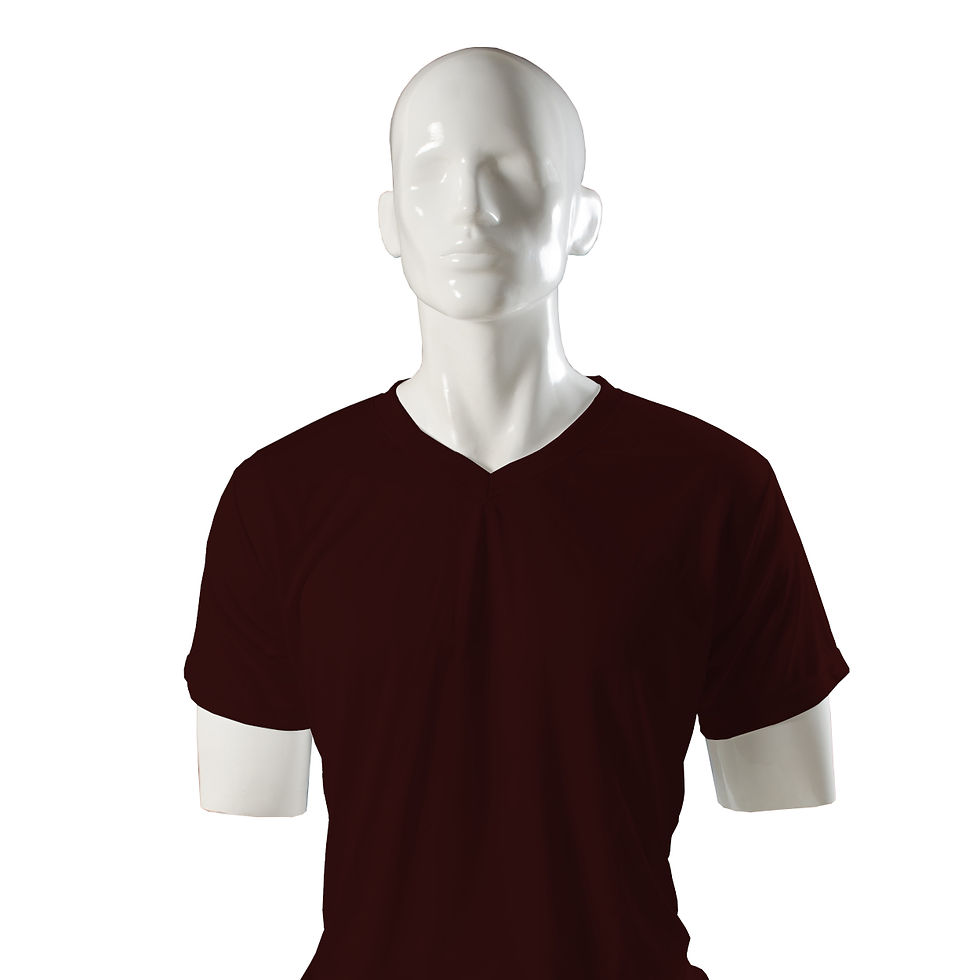 ezeebags-t-shirts-088-v--neck-onman- py-ss-d9-#1a0808-298.jpg