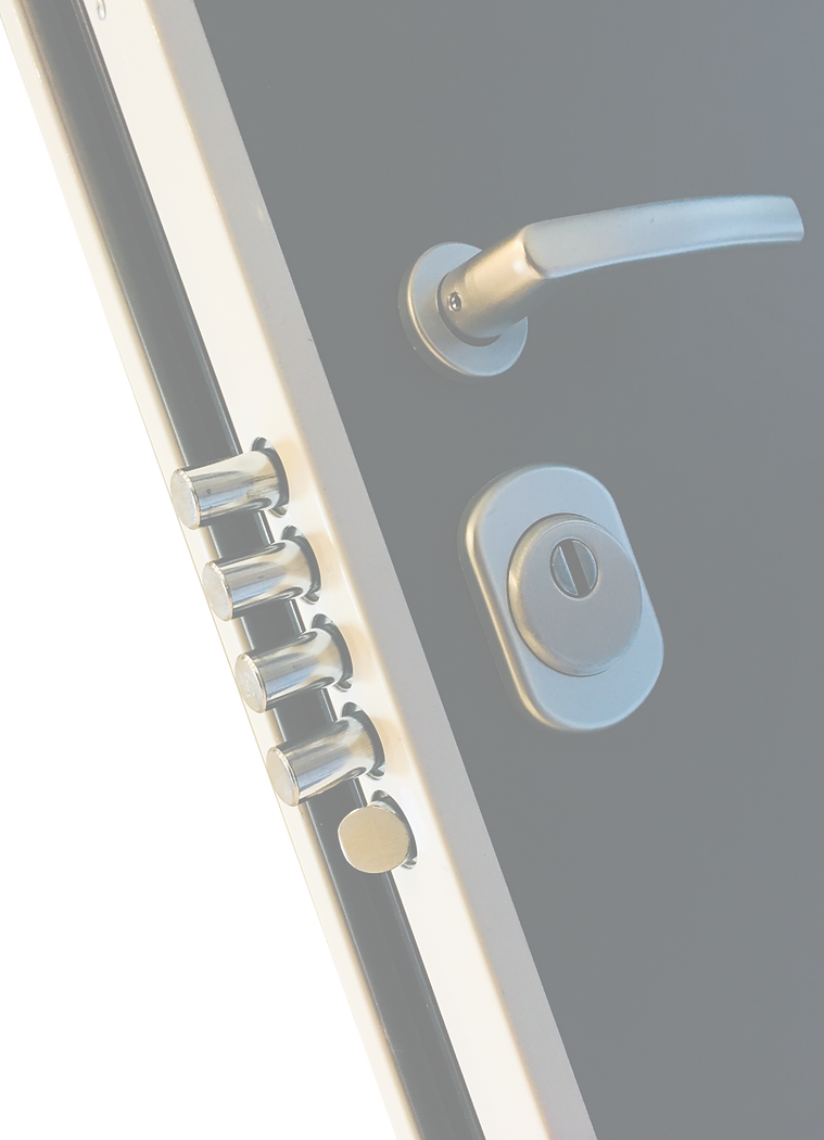 Porte blindée zoom