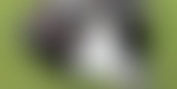 【お手軽チューニング】ヘッドの重り/鉛