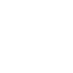 White dragon logo