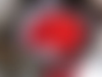 Nên tặng hoa gì trong ngày lễ giáng sinh?