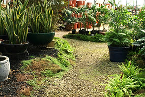 Residential Irrigation System