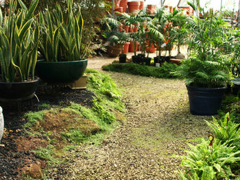 INSPIRING GARDENS