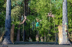 347415393_3325132594402745_8791456110582485995_n