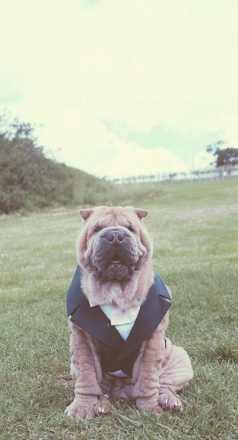 Bella Mia Events Anthony Maggie