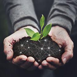 Accompagnement entreprise Création Startup Mission vision valeur Enosys Wemanage