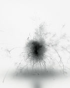 Layer01+05+06.jpg