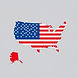 a vector showing a map of the US with US flag.jpg