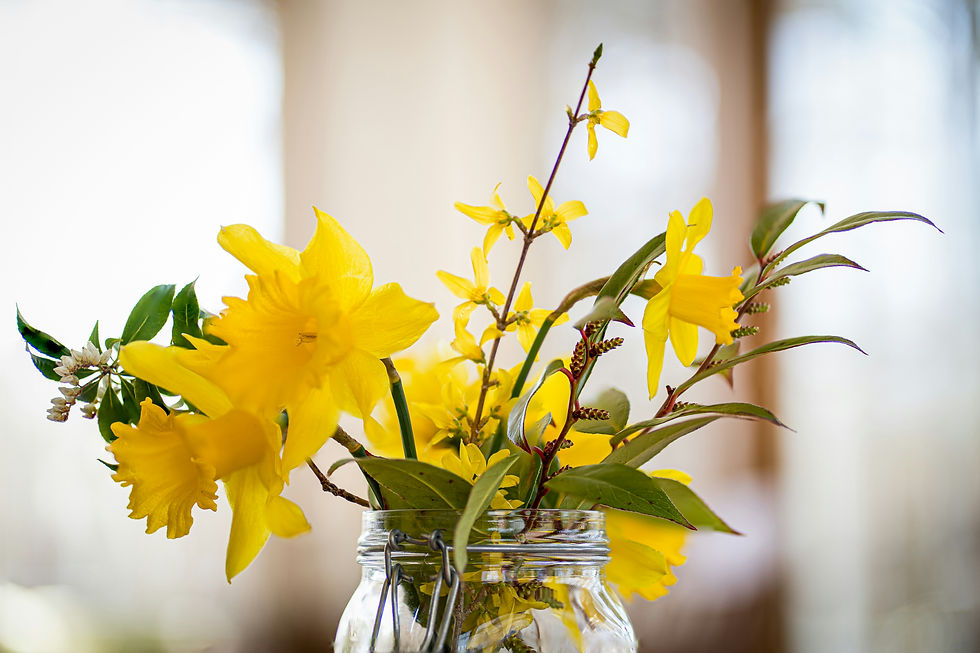 10h30 - 12h00 Activité créative parent/enfant