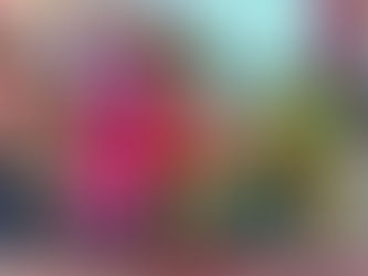 The reason behind Amyga Academy