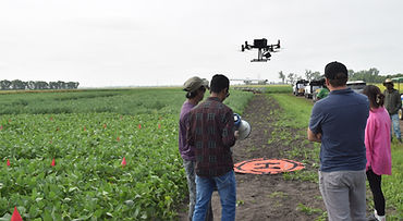LiDAR Surveying Flight Over Soybean Fields