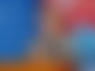 Rencontre stratégique entre l'Union Européenne et le Forum de la Société Civile au profit de la santé communautaire en Haïti