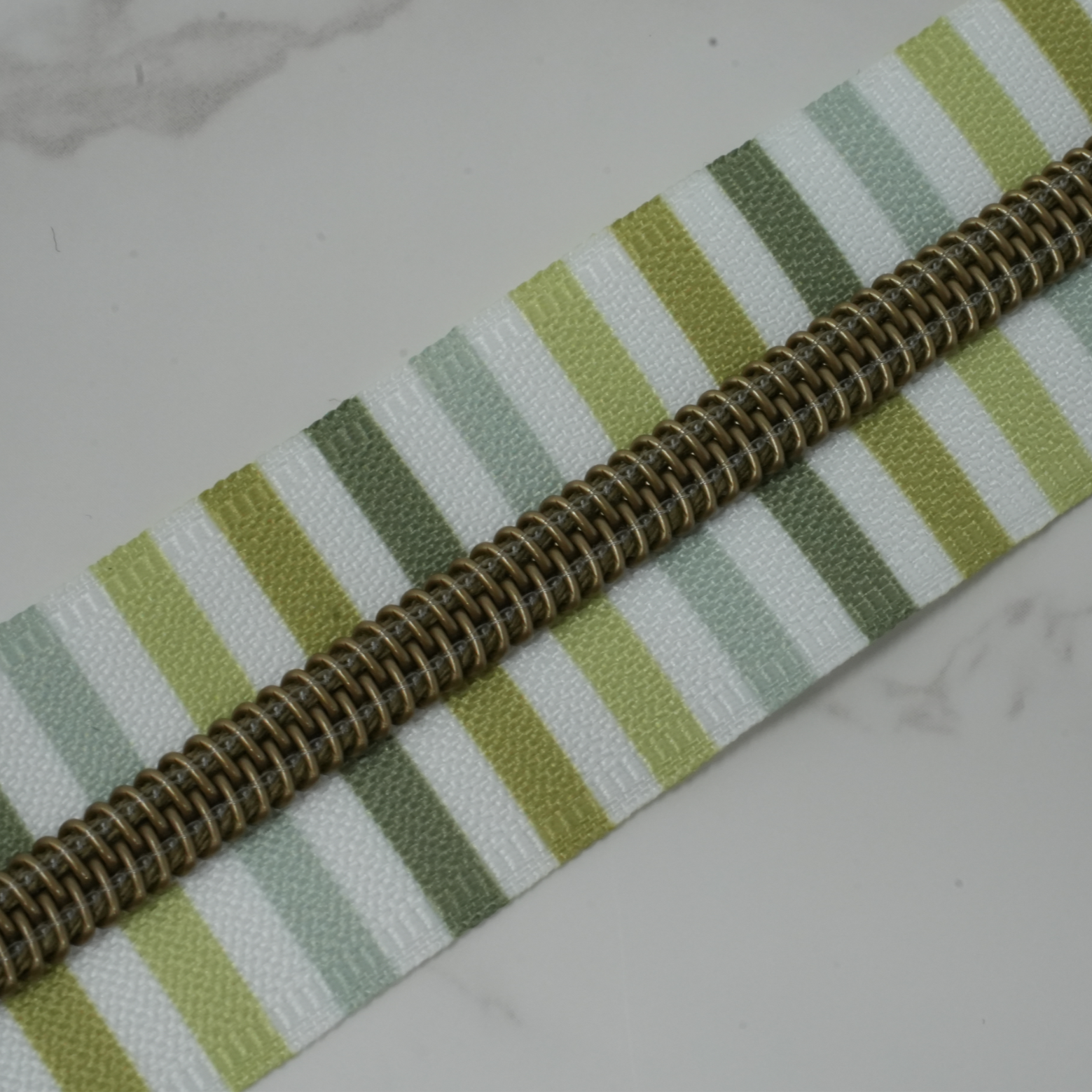 #5 Zipper Tape - PRICKLY PEAR PRINTED STRIPES with Bronze Nylon Coils