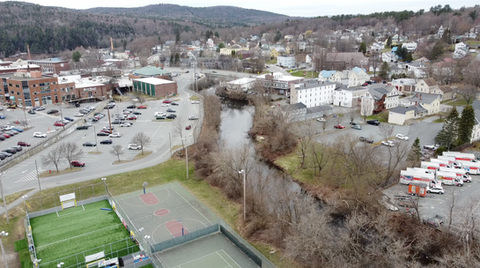 illustrator_Egyptian cat-.jpg