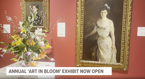 "Art in Bloom" Exhibit Footage for News Center Maine