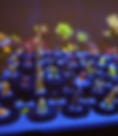 SPS preview