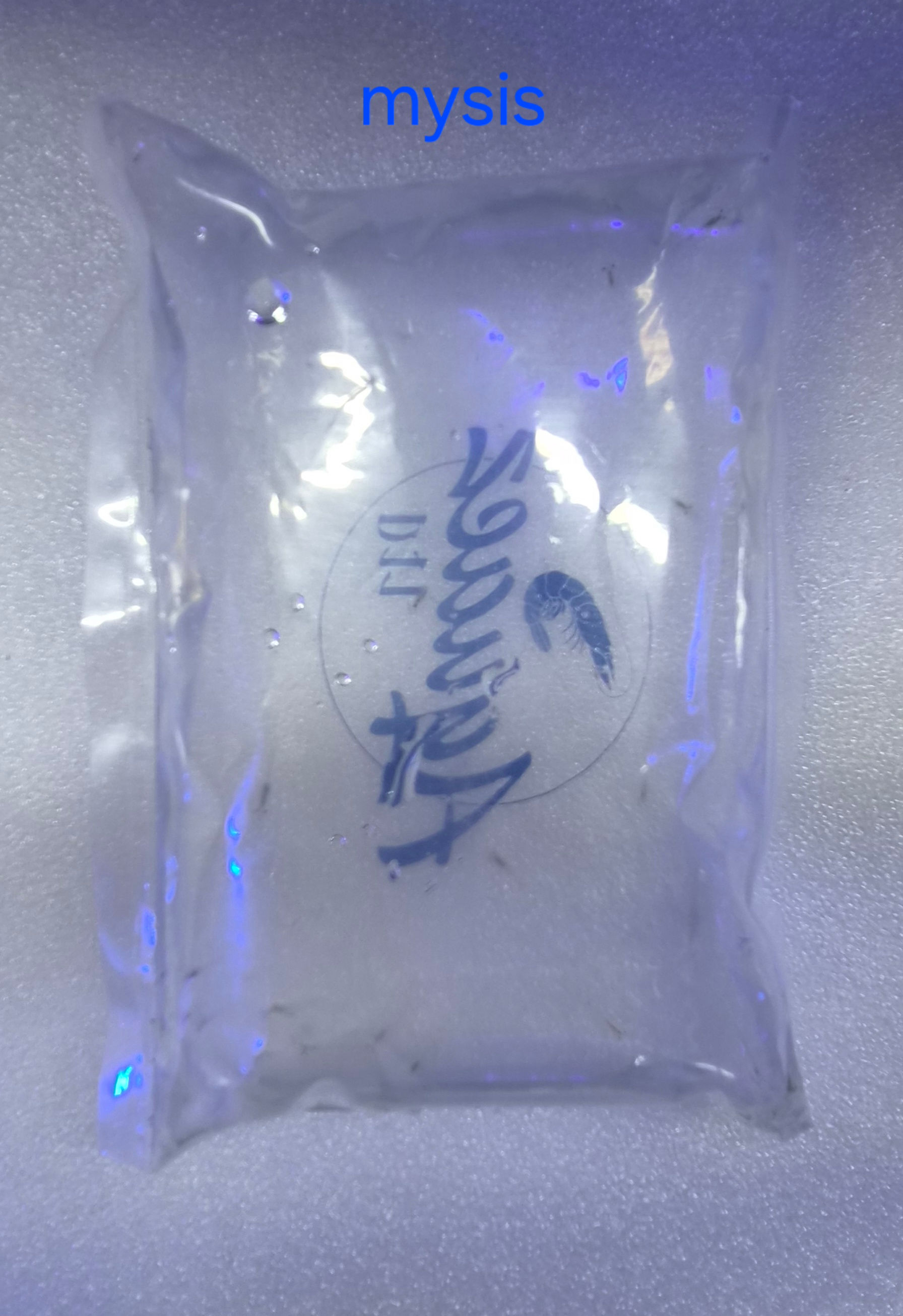 LIVE food Mysis 100ml