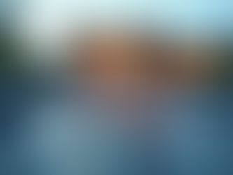 Top Tips for Choosing Metal Roofs in West Florida