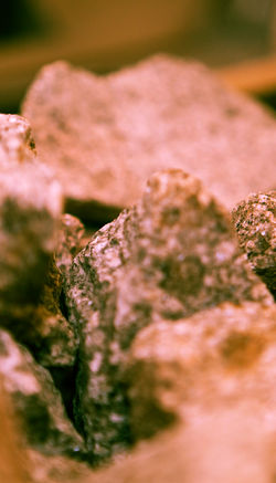 _MG_0725