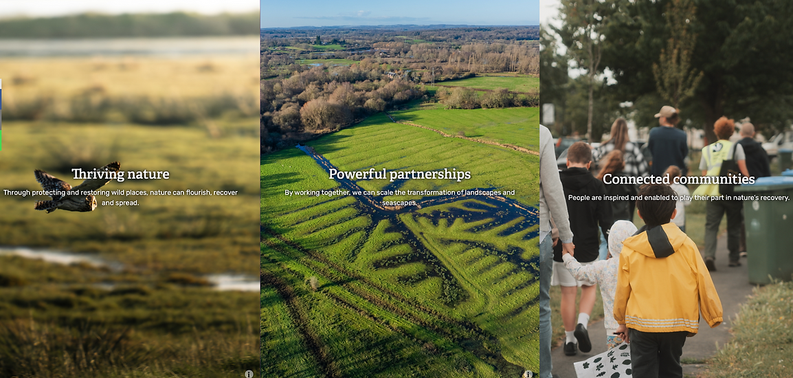 Screenshot 2025-12-11 at 21.43.08.png