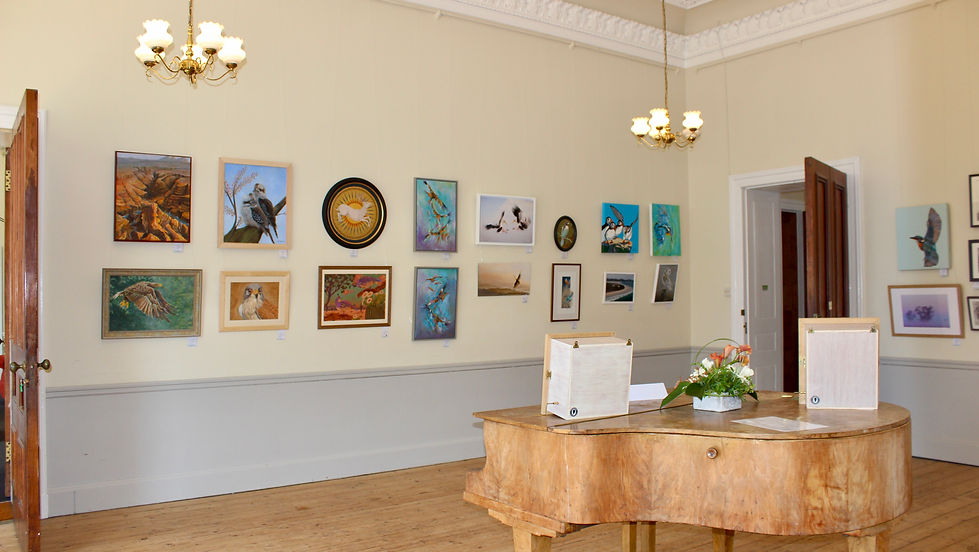 Southern Nature Art Exhibition 2026