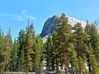 No Better Funemployment: Yosemite National Park