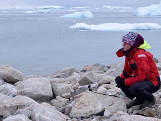 Solitary Liberation: El Calafate, Patagonia