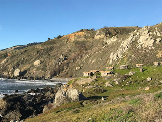 Quite Quiet: Steep Ravine, California