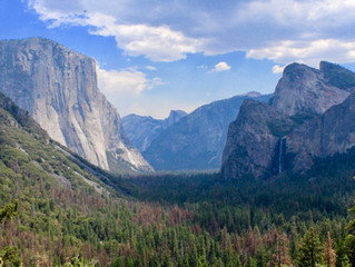 Family Time: Yosemite National Park, California