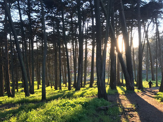 Summer of Love: San Francisco, California