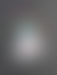 I CONTAIN MULTITUDES