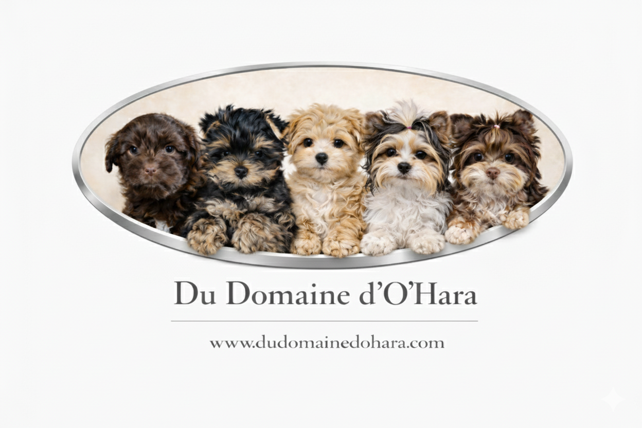 Photo du rédacteur: Du Domaine d'O'hara 