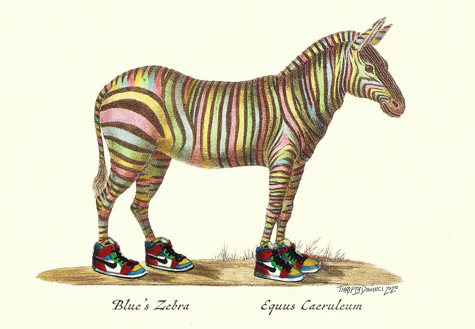 Thumbnail: Blue's Zebra