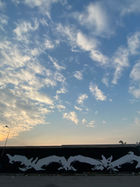 IMG_0276.jpeg