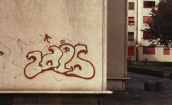 cano milano
