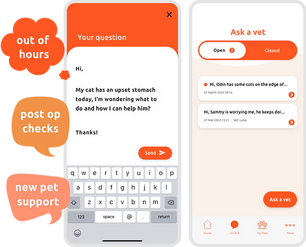 Image of the Vidivet screen on a mobile with examples of queries