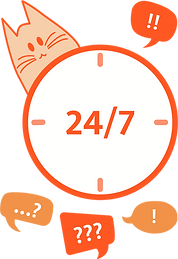 Vidivet 24 hours a day logo