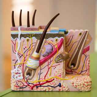 3D-Schaubild
