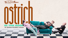‘Ostrich in the Room’ at The Larking House