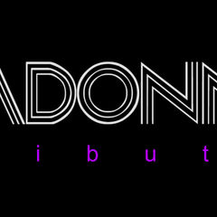 Madonna Banner