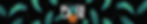 BLACK LACE BANNER2.jpg