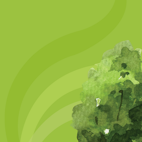 Fondo Camino Verde-04.png