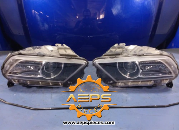 Miniatura: AVIS AEPSPIECES