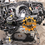 縮圖：Moteur complet AUDI SQ5 3.0 TDI DEW