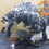 Miniature : Moteur complet JEEP WRANGLER JK 2.8 CRD VM50C