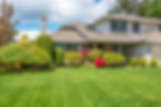 Make your lawn the envy of the neigh