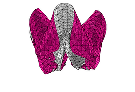 CircularPleat-antiFacet.png