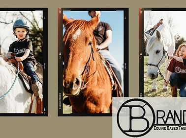 Branded Equine Based Therapy.jpg